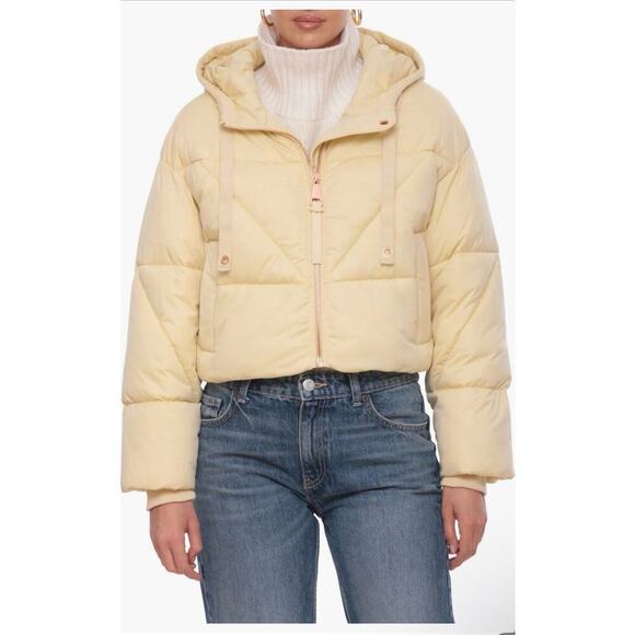 Avec Les Filles Black Cropped Puffer Jacket S Hooded Faux Down Stylish Warm NWT - Picture 7 of 9